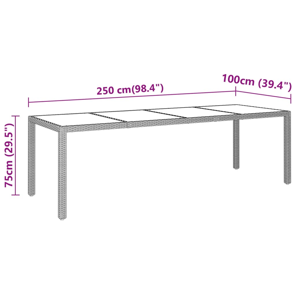 Tuintafel 250x100x75 cm gehard glas en poly rattan zwart