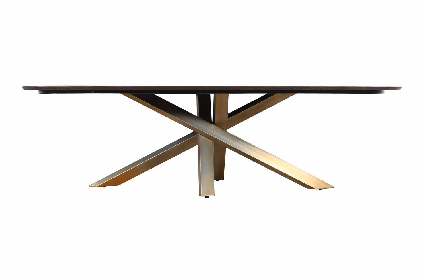 PTMD Alore bruin goud eettafel ovaal 200 cm