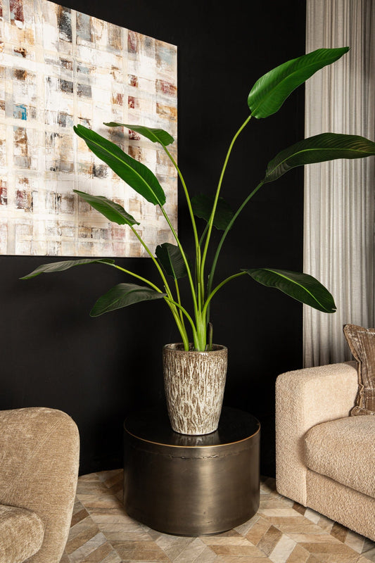 PTMD Bladeren Plant Groen PE real touch strelitzia M