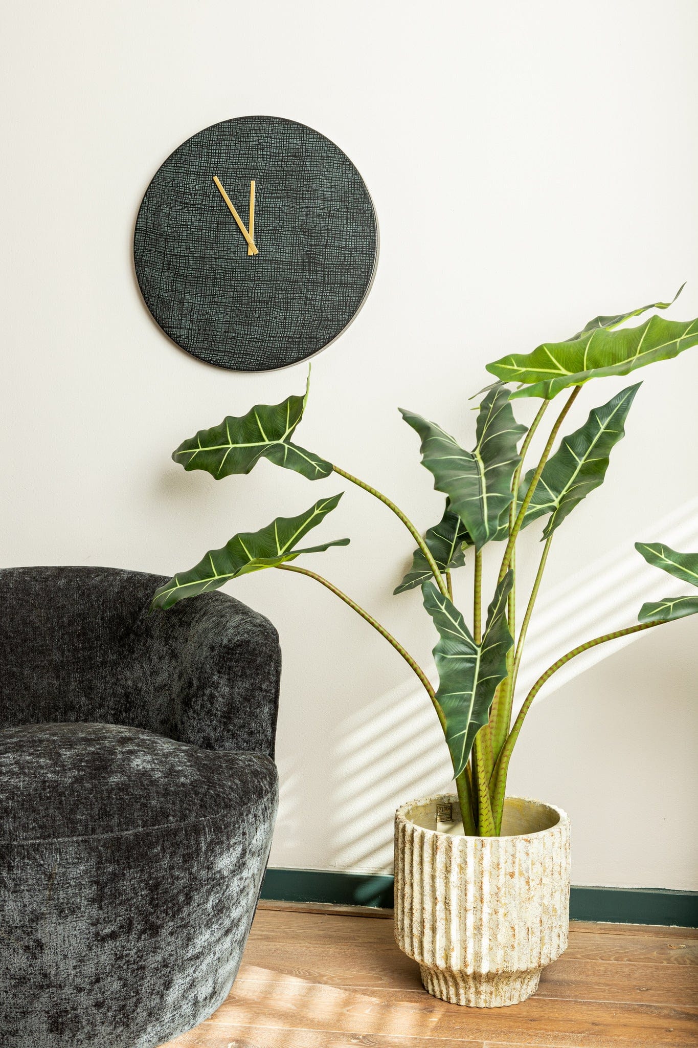 PTMD Bladeren Plant groene alocasia in zwarte pot