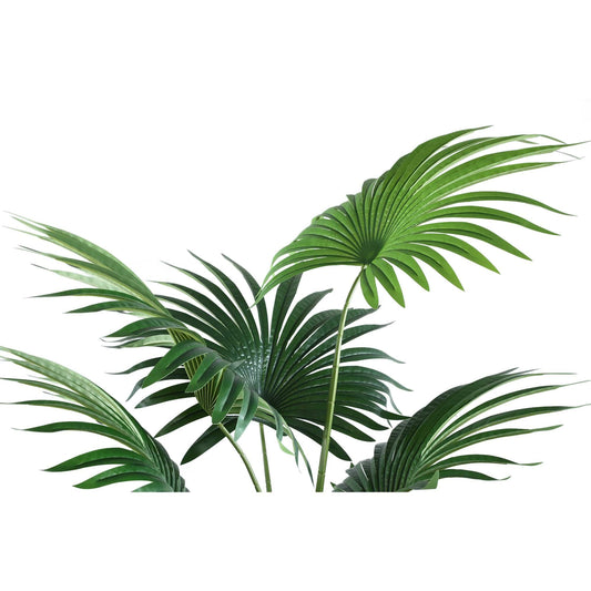 PTMD Boom Groene palm 11 bladeren in pot