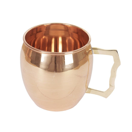 Pole To Pole Copper Mug Iguazú