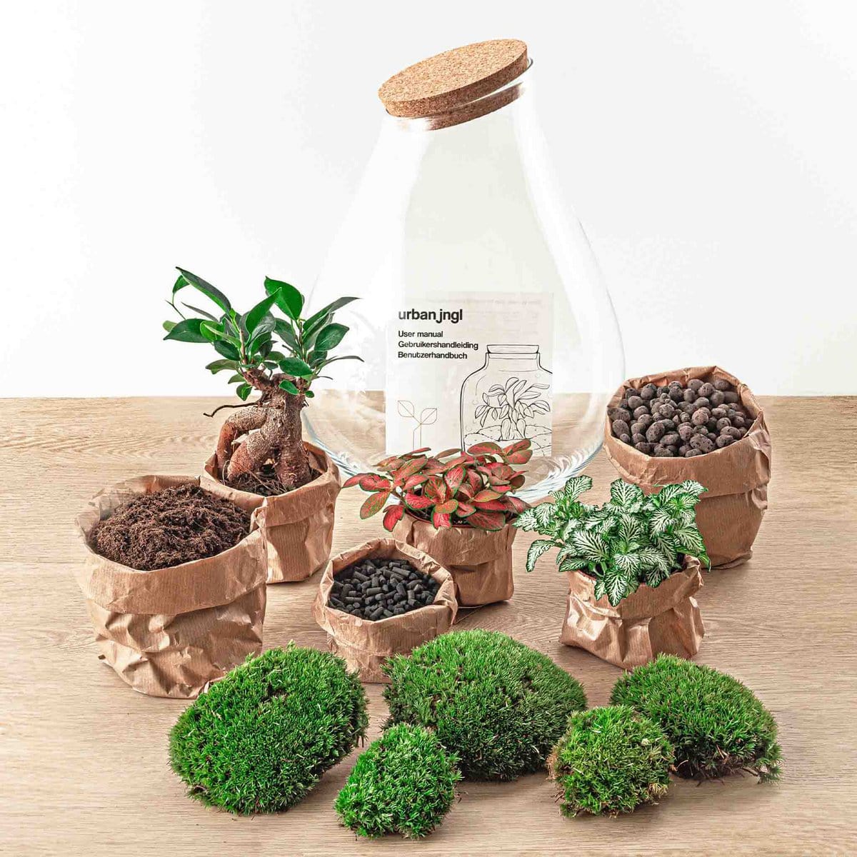 Trendhero B.V. Ecosysteem plant - Drop XXL Bonsai - Planten terrarium - ↑ 43 cm