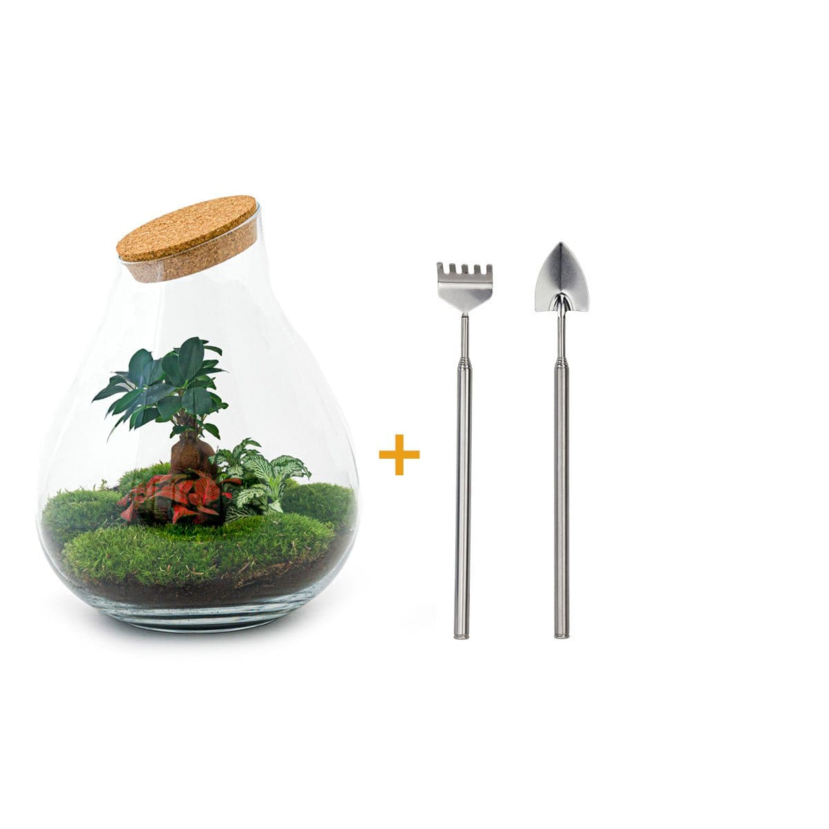 Trendhero B.V. Ecosysteem plant - Drop XXL Bonsai - Planten terrarium - ↑ 43 cm