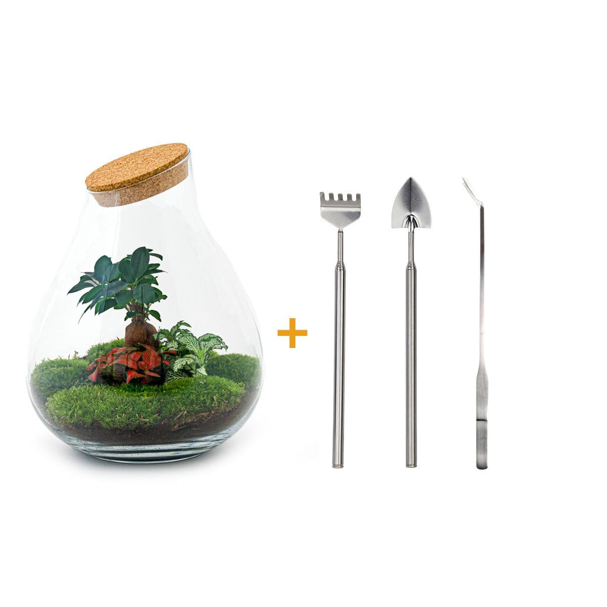 Trendhero B.V. Ecosysteem plant - Drop XXL Bonsai - Planten terrarium - ↑ 43 cm