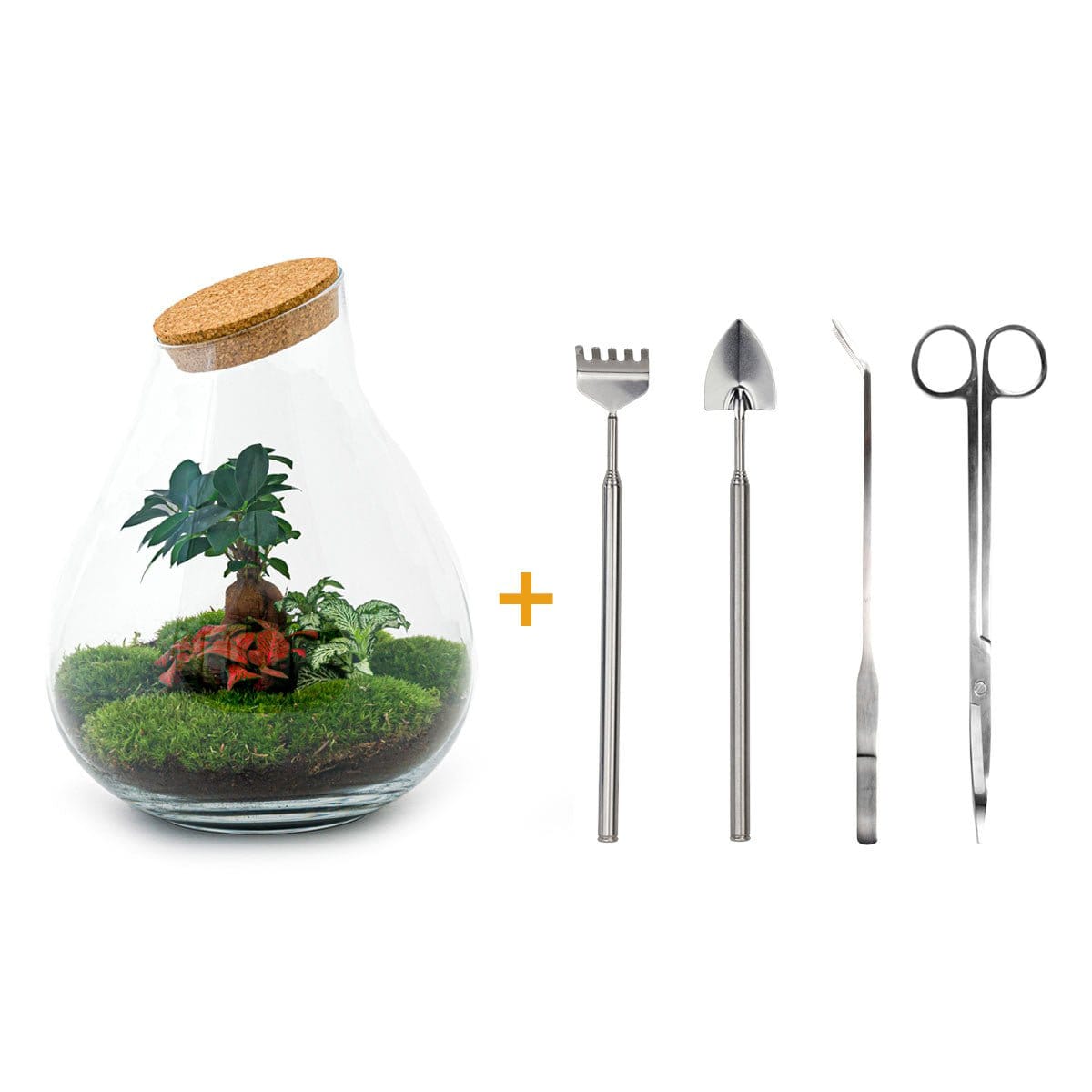 Trendhero B.V. Ecosysteem plant - Drop XXL Bonsai - Planten terrarium - ↑ 43 cm