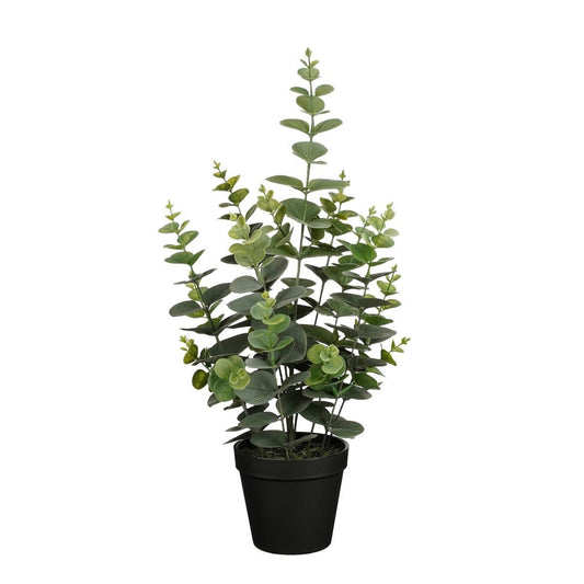 Mica Decorations Eucalyptus Kunstplant in Bloempot - H53 x Ø23 cm - Groen