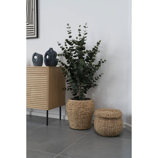 House Nordic ApS Eucalyptusboom