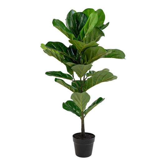 House Nordic ApS Fiddle Leaf Tree