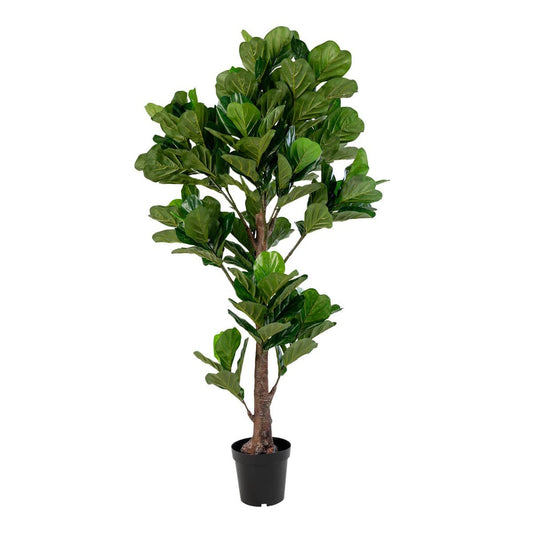 House Nordic ApS Fiddle Leaf Tree