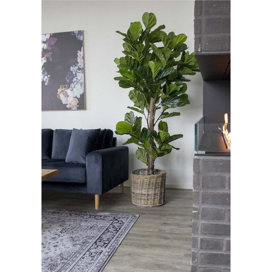 House Nordic ApS Fiddle Leaf Tree