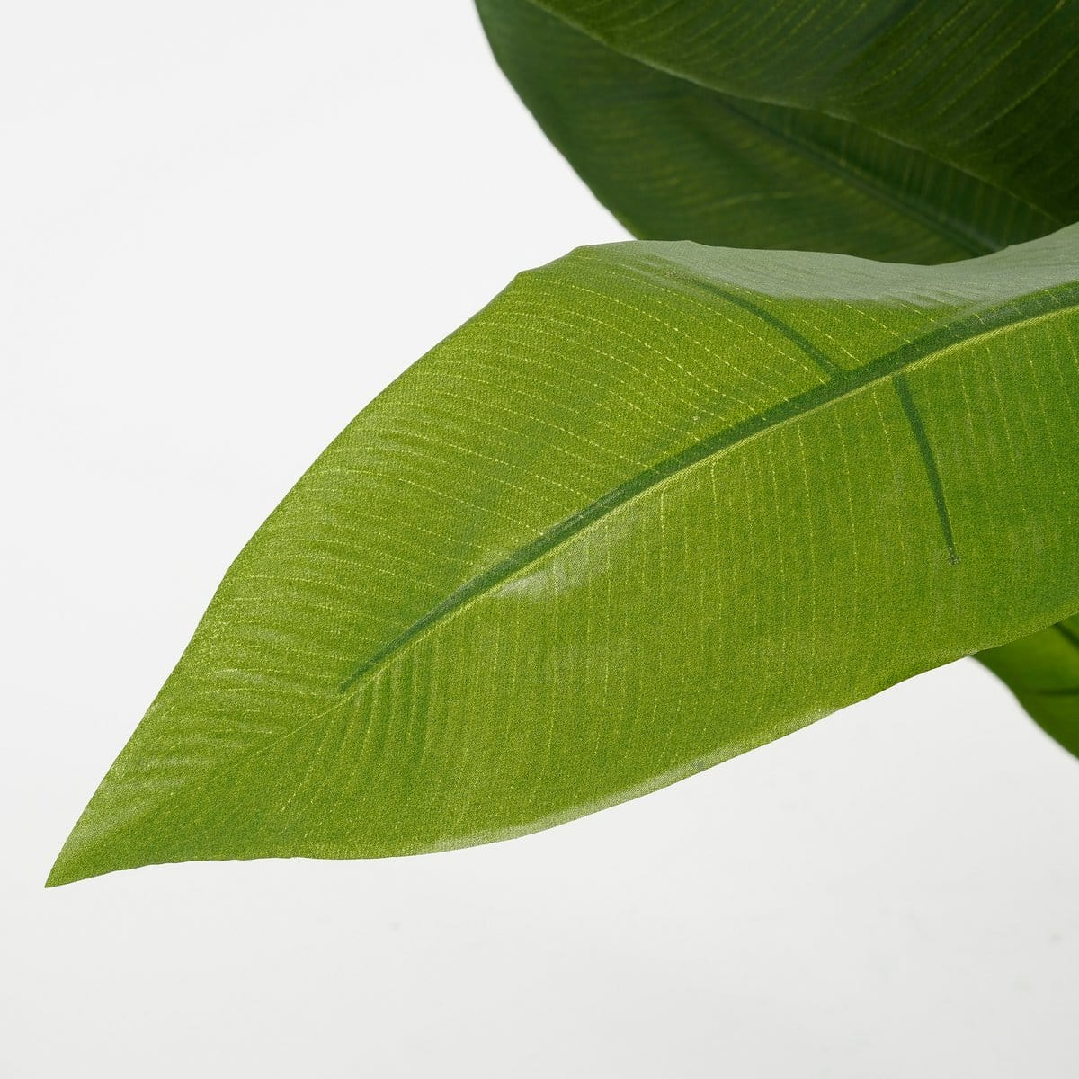 Mica Decorations Heliconia Kunstplant - H175 x Ø140 cm - Groen