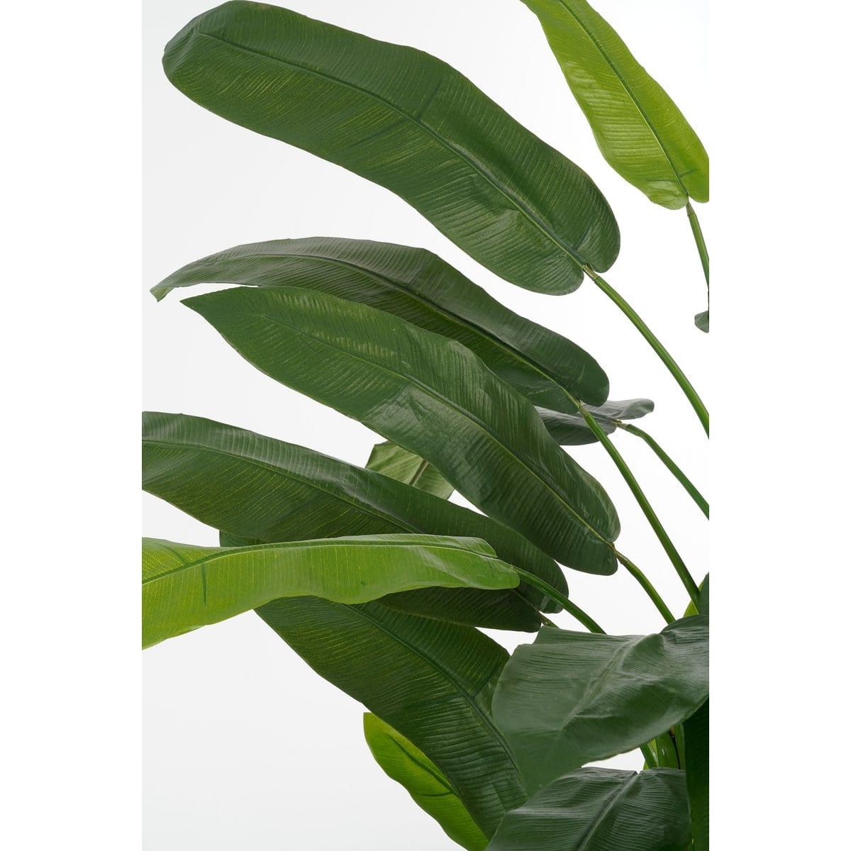 Mica Decorations Heliconia Kunstplant - H175 x Ø140 cm - Groen