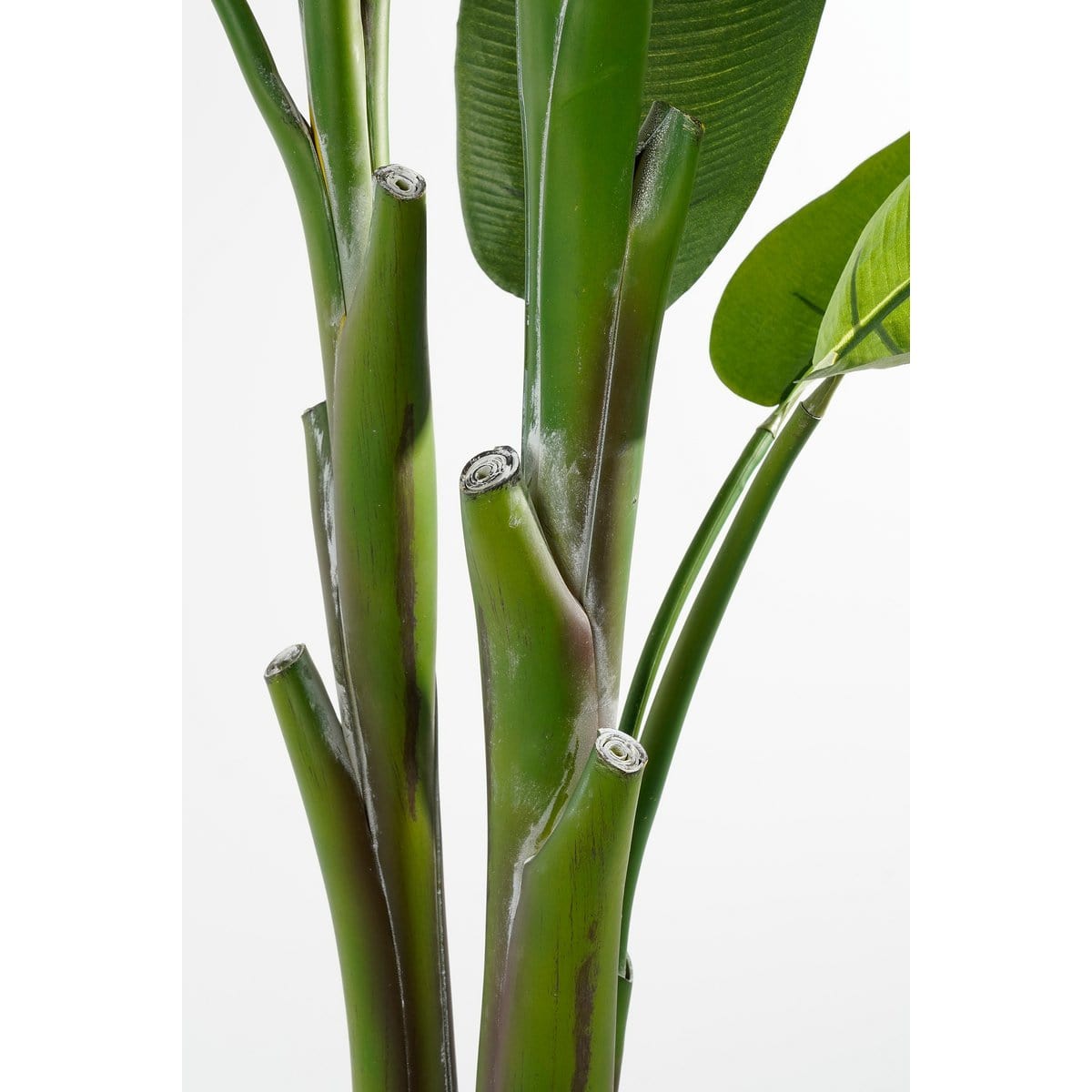 Mica Decorations Heliconia Kunstplant - H175 x Ø140 cm - Groen