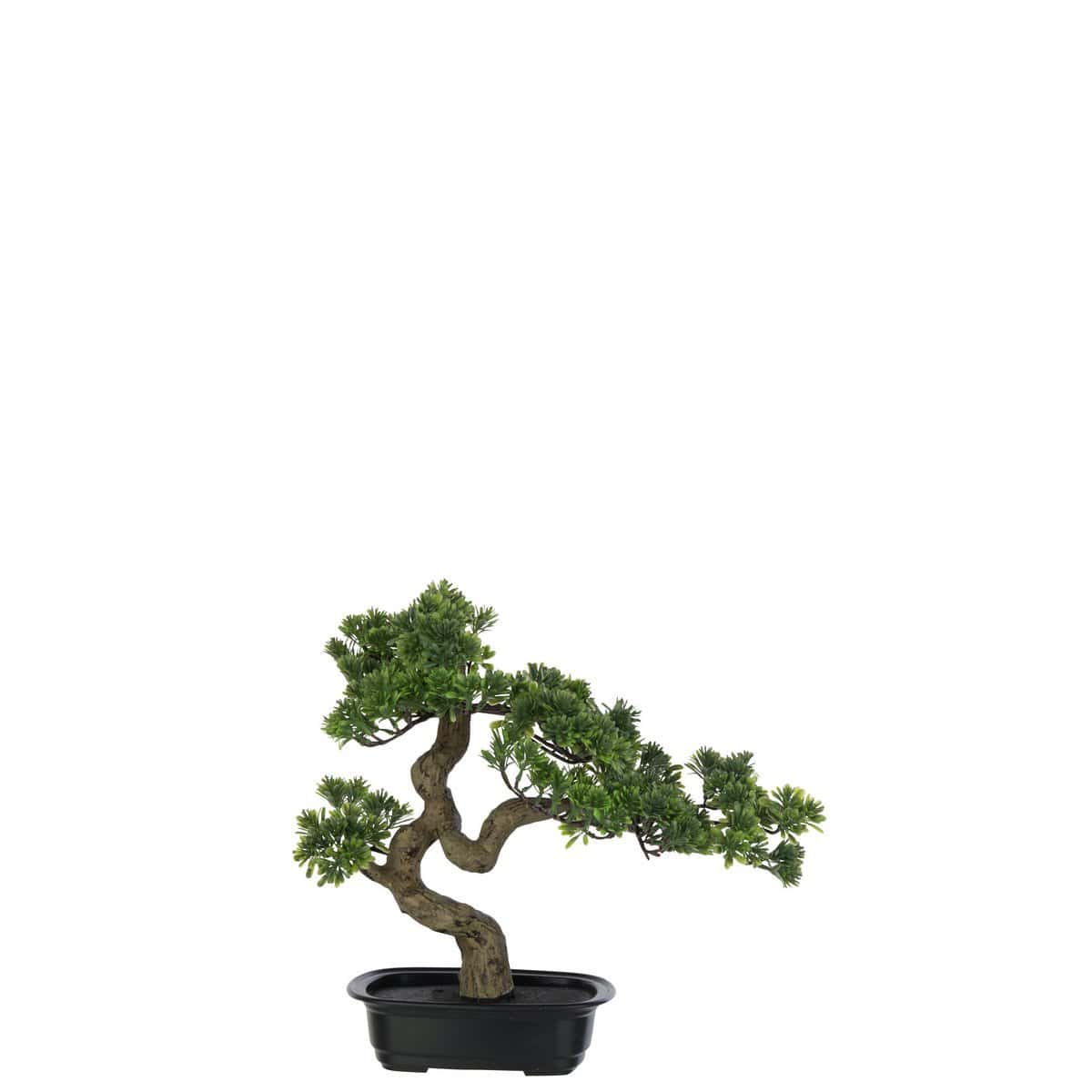 J-Line J-Line plant Podocarpus Bonsai - kunststof - groen - small