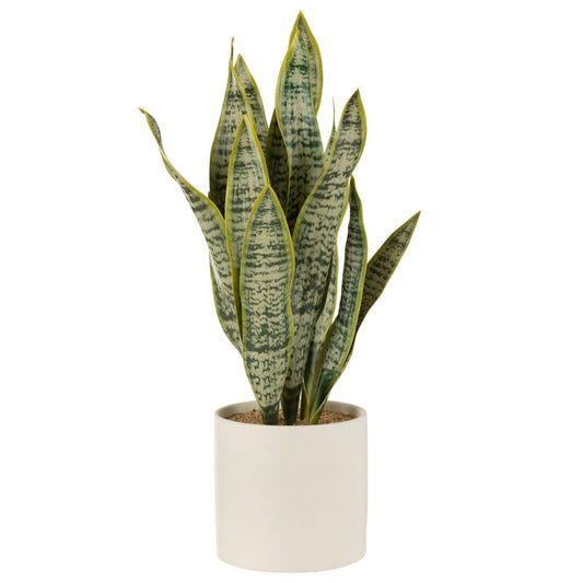 J-Line J-Line Plant Sansevieria In Pot Pvc Groen Extra Large