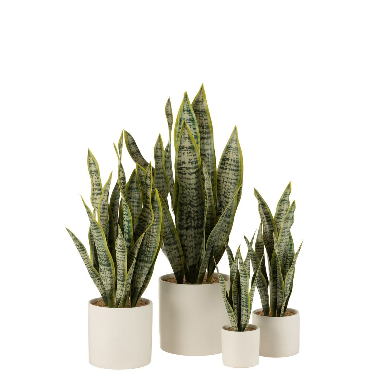 J-Line J-Line Plant Sansevieria In Pot Pvc Groen Extra Large