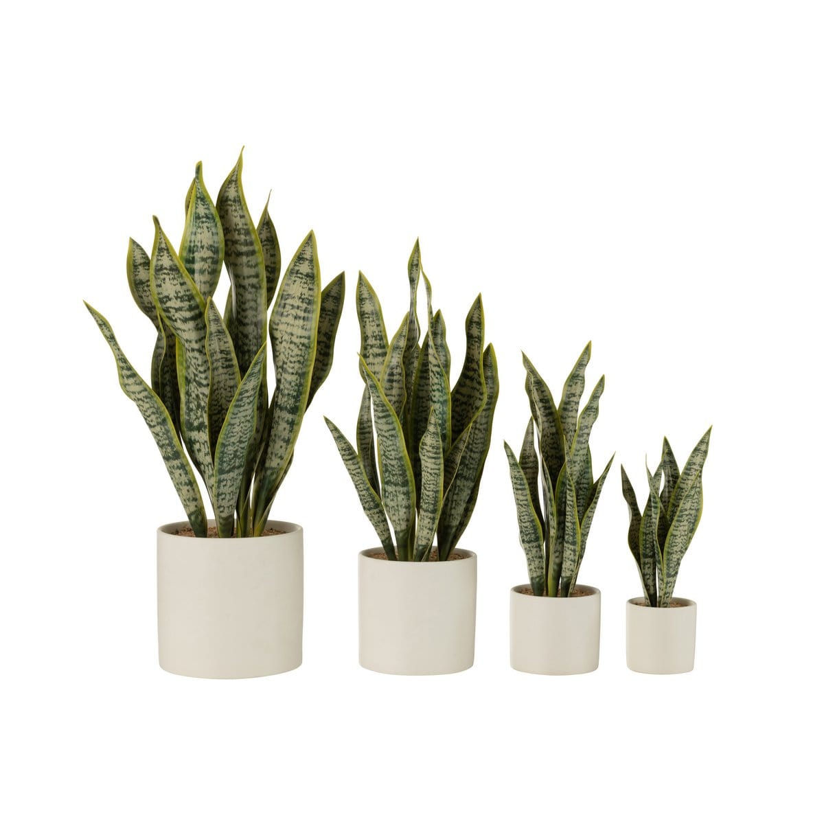 J-Line J-Line Plant Sansevieria In Pot Pvc Groen Extra Large