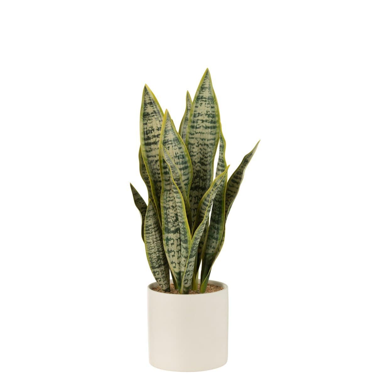 J-Line J-Line Plant Sansevieria In Pot Pvc Groen Large