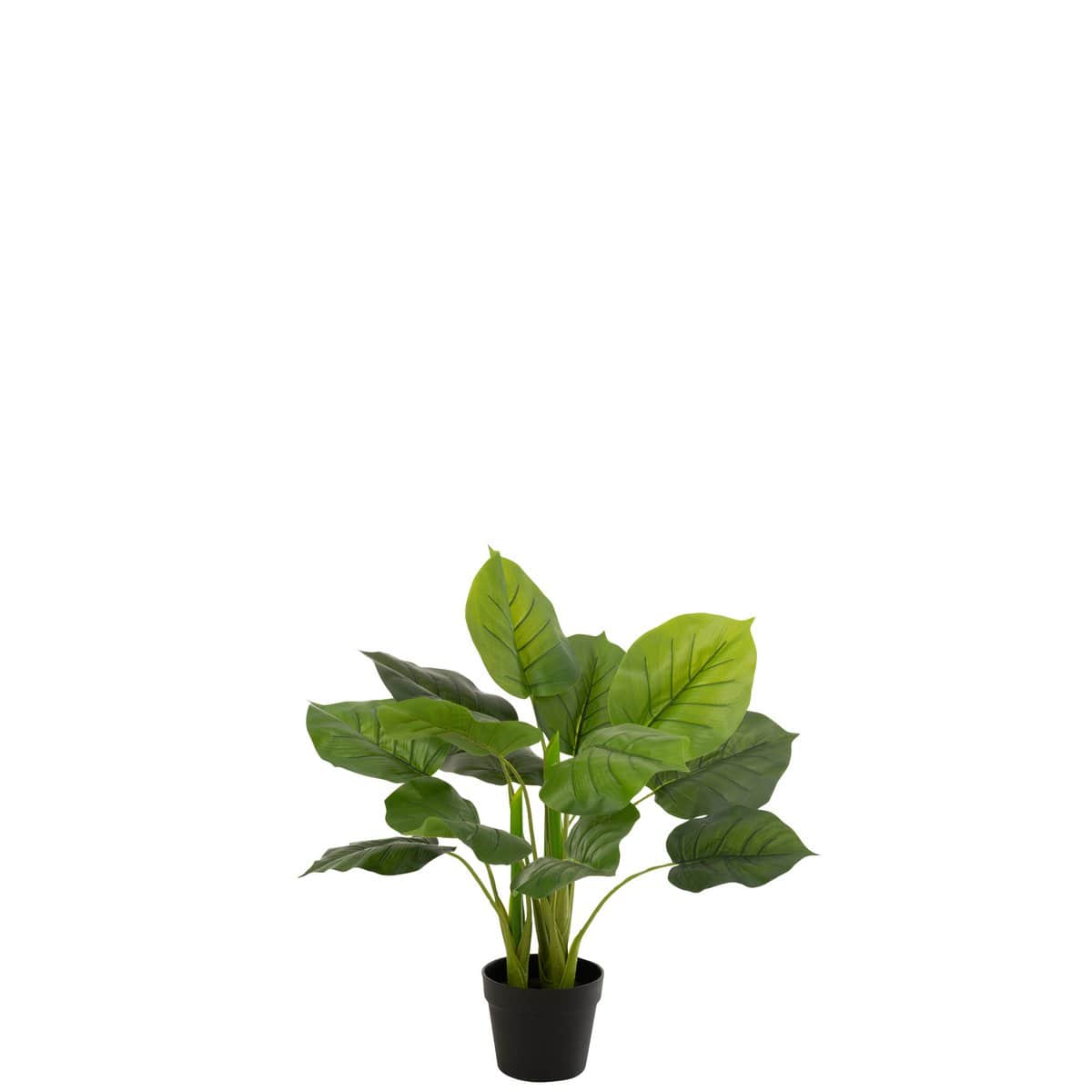 J-Line J-Line Pothos Plant In Pot Plastiek Groen