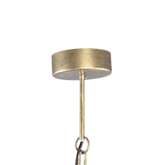 PTMD Katie Goudkleurige metalen hanglamp met bladeren S