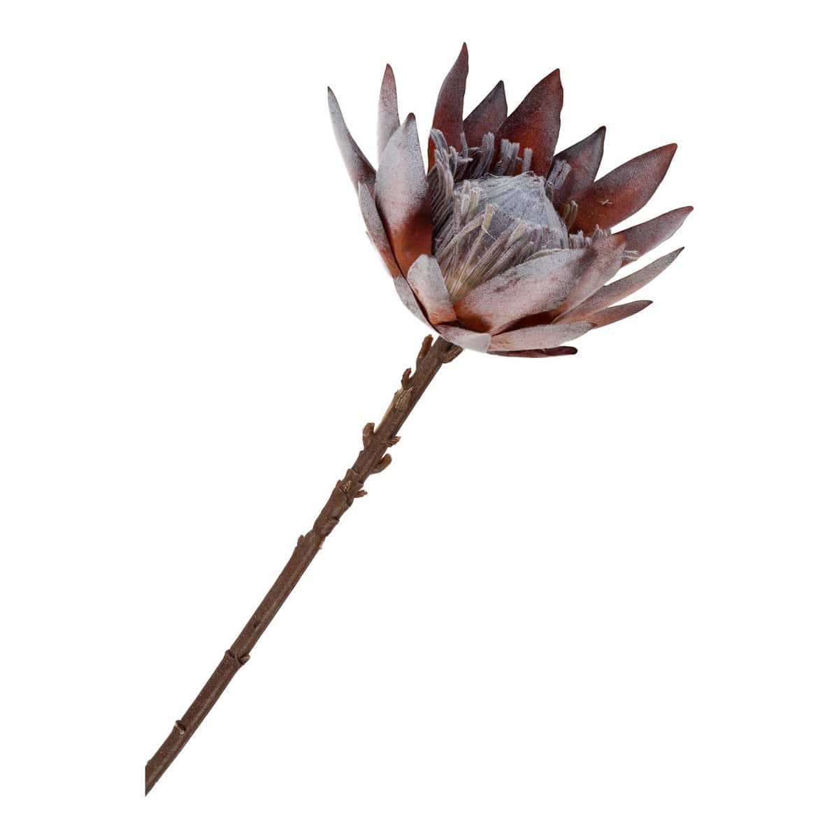 House Nordic ApS King Protea Boeket - Kunstbloemen, rozenmix, 74 cm