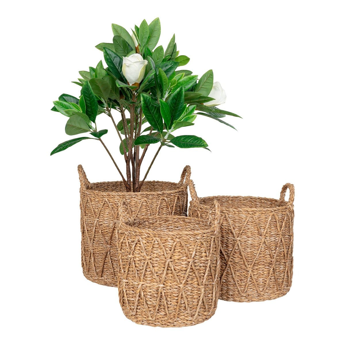 House Nordic ApS Krabi Basket - Mand, zeegras, naturel, set van 3