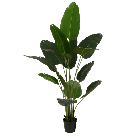 Mica Decorations Kunstplant Bananenboom in Pot - H180 x Ø30 cm - Groen