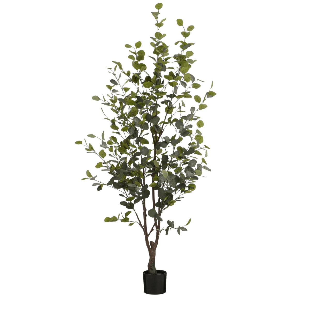 Mica Decorations Kunstplant Eucalyptusboom in Pot - H180 x Ø80 cm - Groen