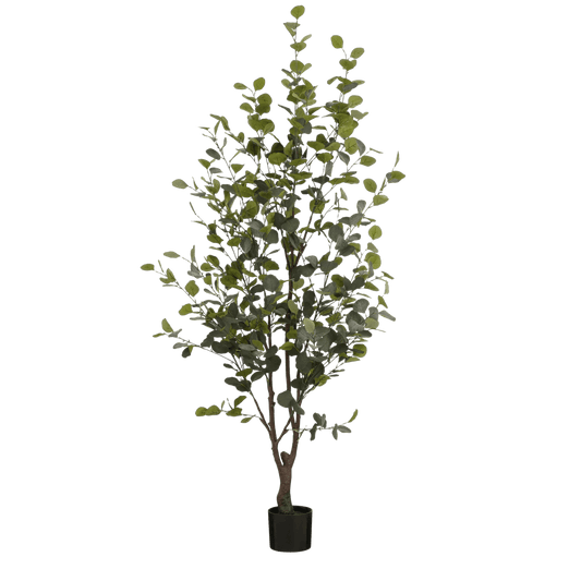 Mica Decorations Kunstplant Eucalyptusboom in Pot - H180 x Ø80 cm - Groen