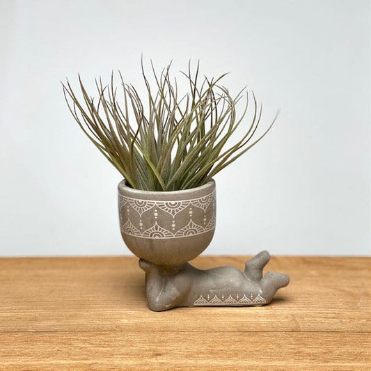 Airplantshop Lazy Airplant man (grijs)