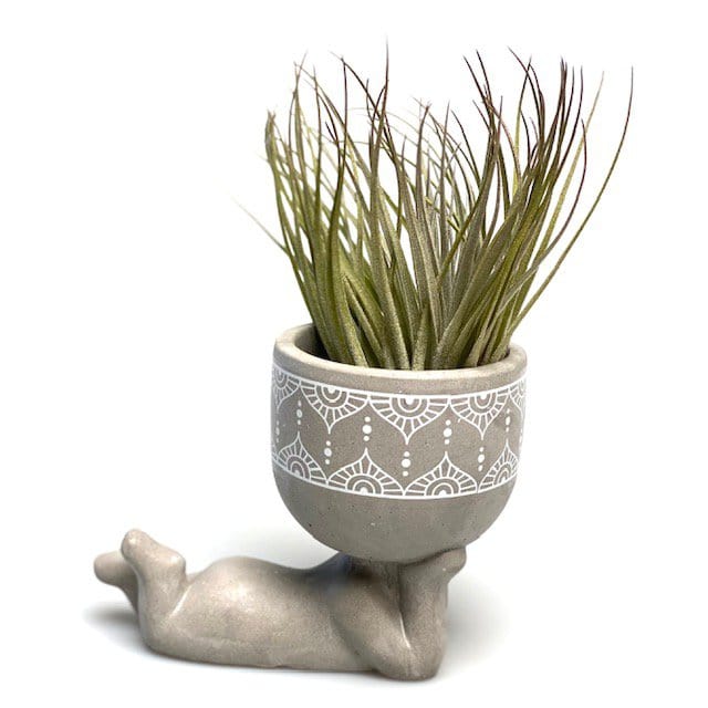 Airplantshop Lazy Airplant man (grijs)