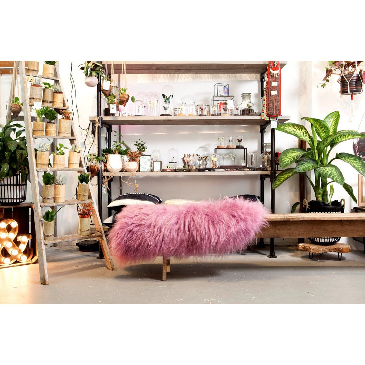 Dyreskinn® SHEEPSKIN ICELANDIC PINK  90-110cm