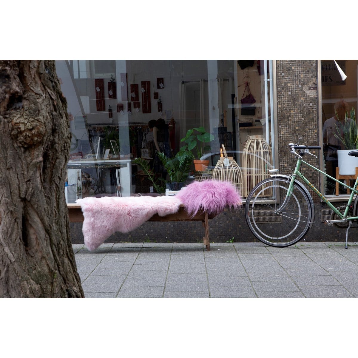 Dyreskinn® SHEEPSKIN ICELANDIC SHORT PINK 90-110cm