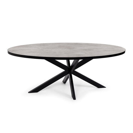 Stalux Stalux Ovale eettafel 'Mees' 210 x 100cm, kleur zwart / beton