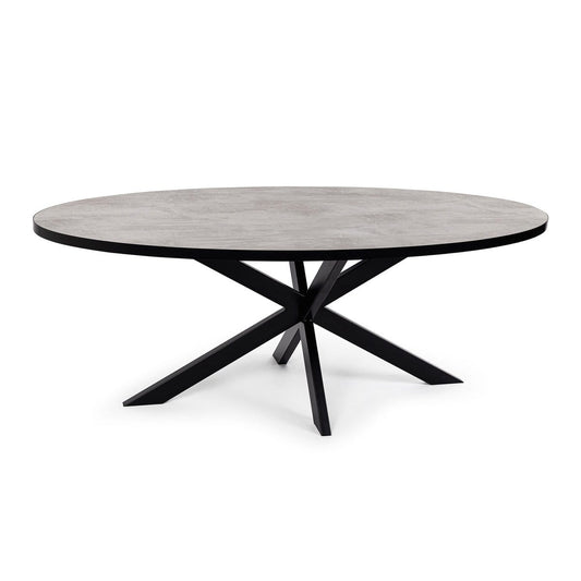 Stalux Stalux Ovale eettafel 'Mees' 240 x 110cm, kleur zwart / beton