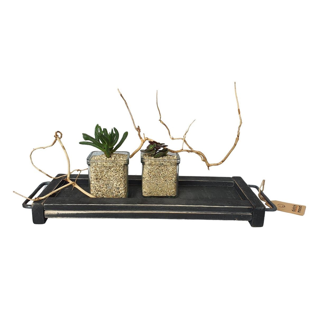 Dutch Mood tray empress 40 black berlin 2 st