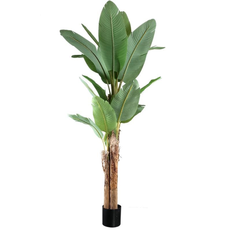 PTMD Tree Green PE real touch bananenboom L