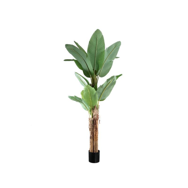 PTMD Tree Green PE real touch bananenboom M